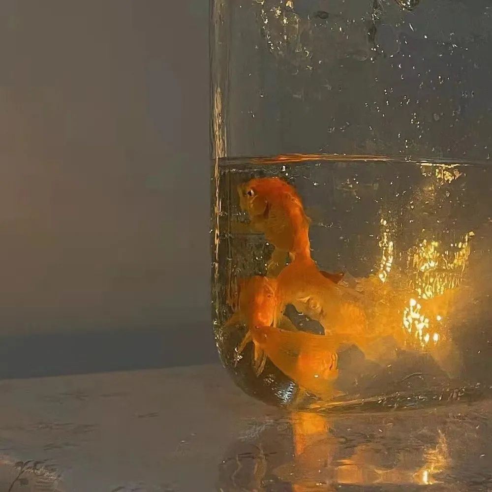 什么时候都可以发的朋友圈文案！