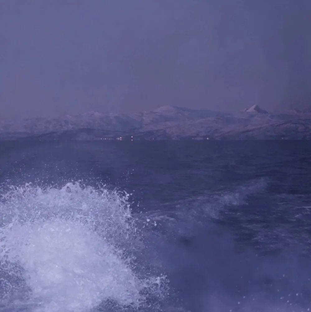 “风格不定的小众文案”