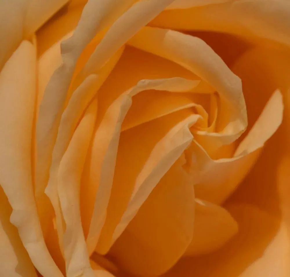 20条朋友圈文案，男女都适用