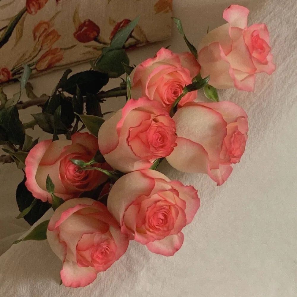 文案越毒你才越清醒！