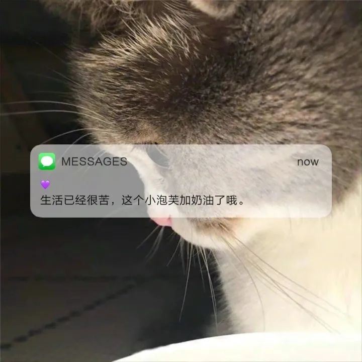 “一眼就爱上的高级文案”