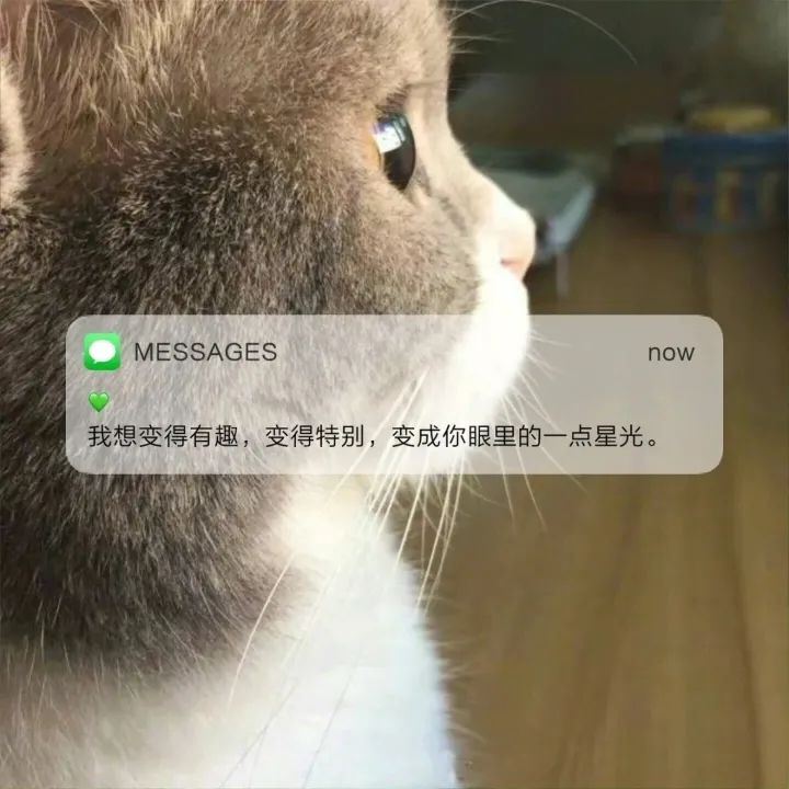 “一眼就爱上的高级文案”