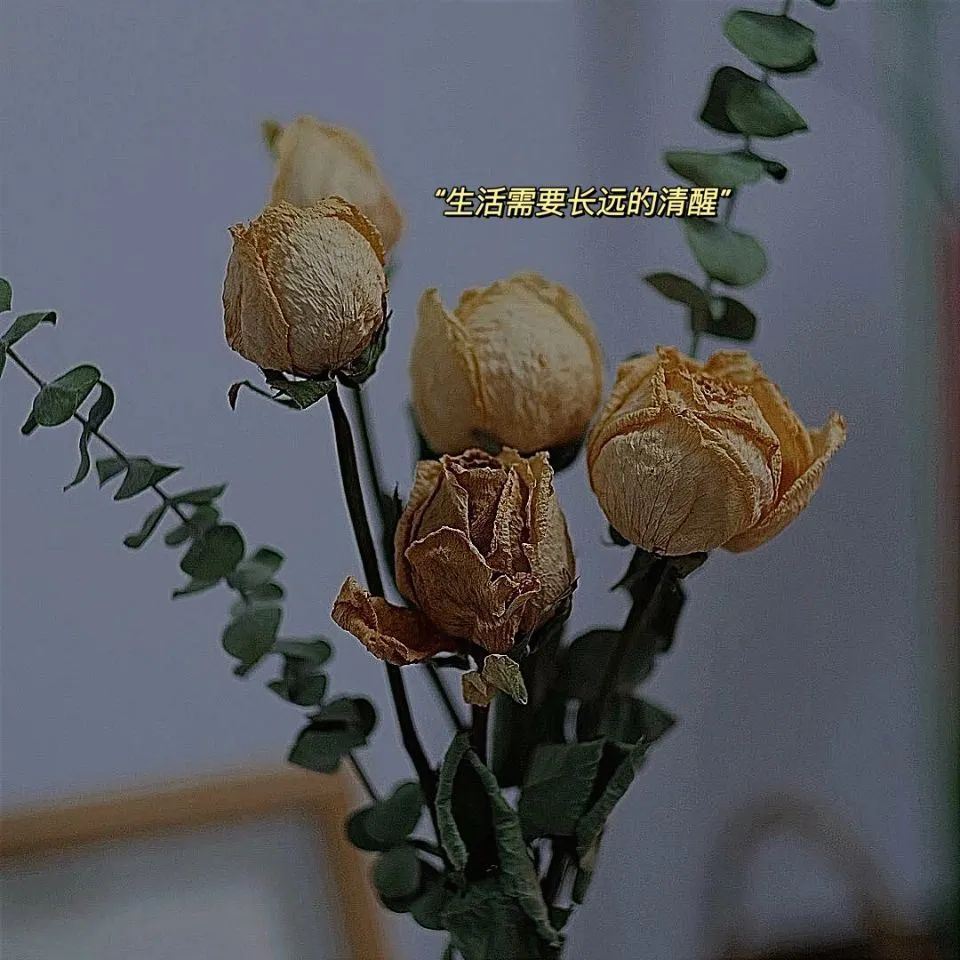 你永远都搜不到的文案