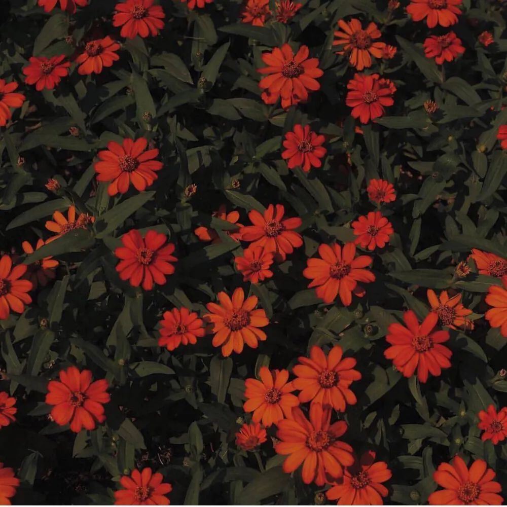 无关爱情却一眼看哭的文案！