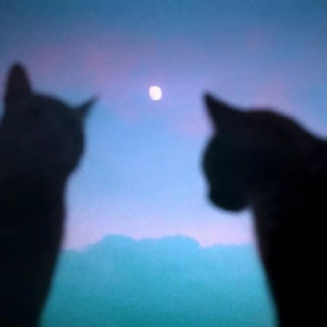 朋友圈很潮很拽的个性句子