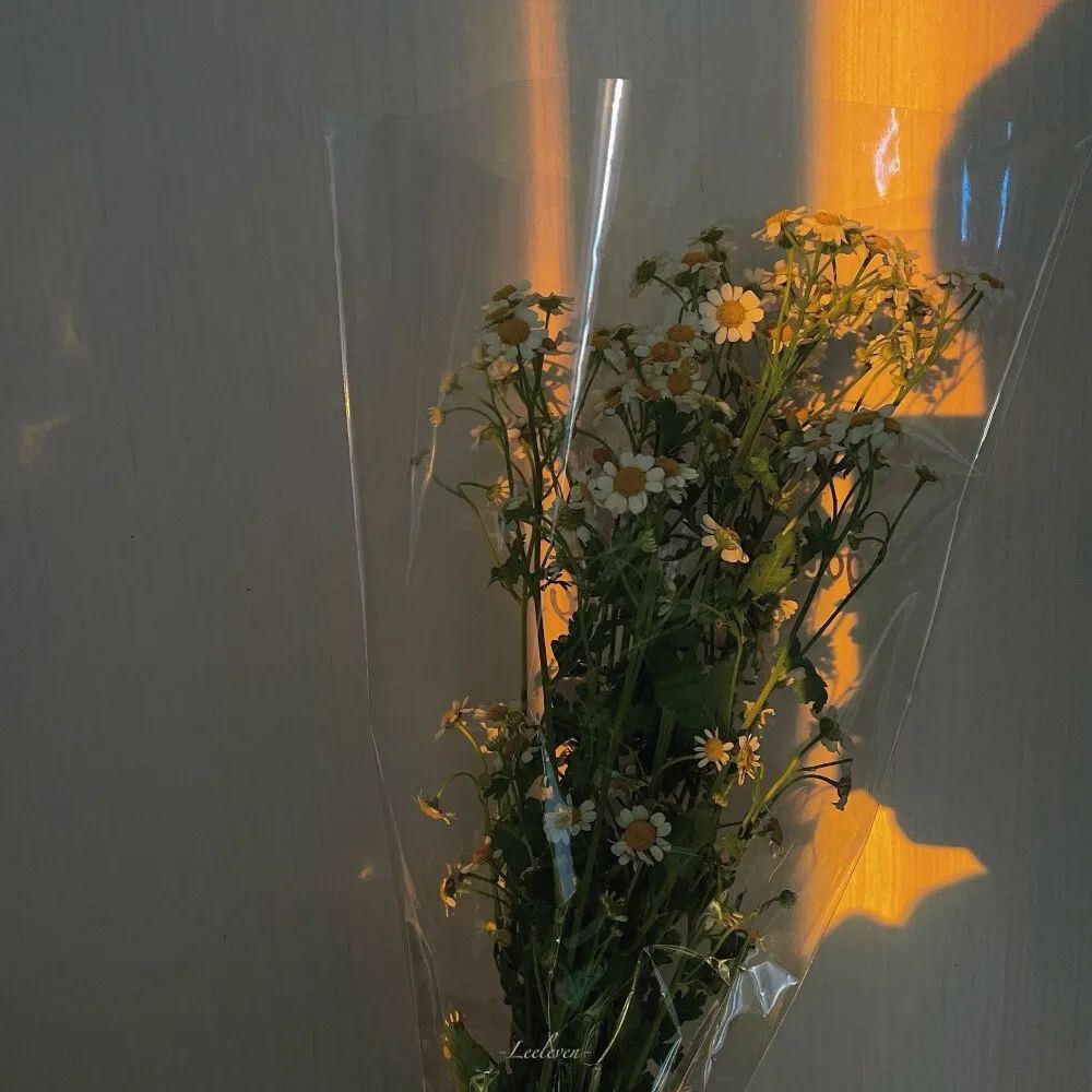 想不到好的文案发朋友圈，看这里！