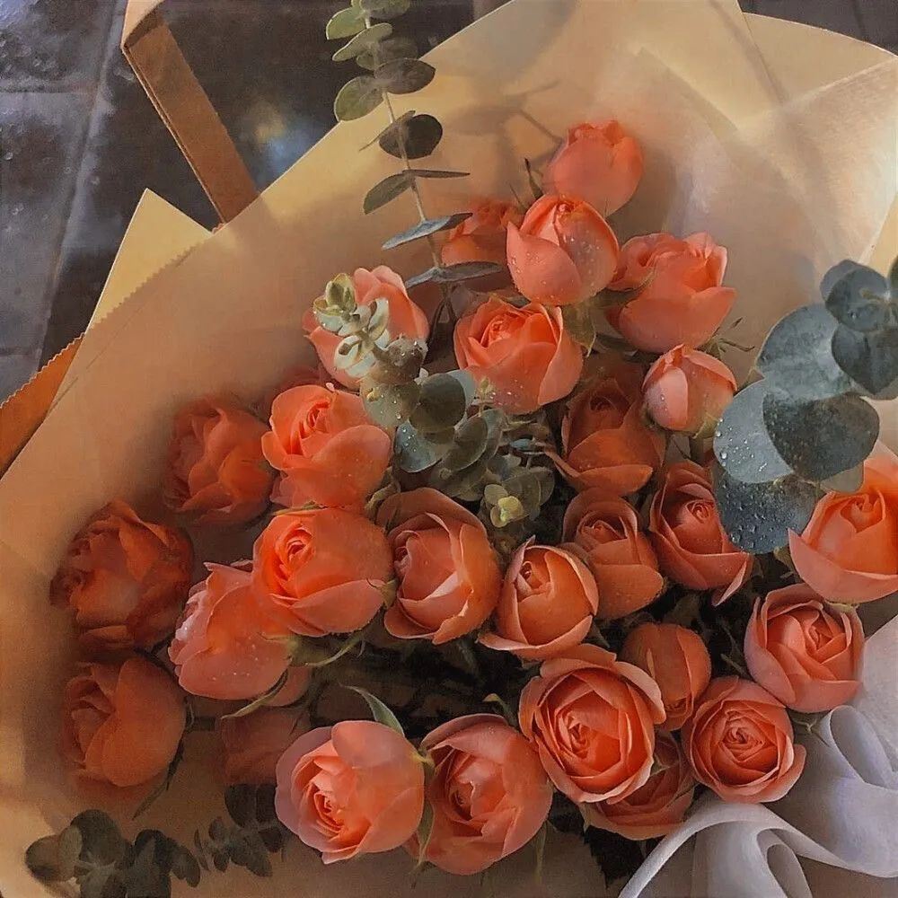 想不到好的文案发朋友圈，看这里！