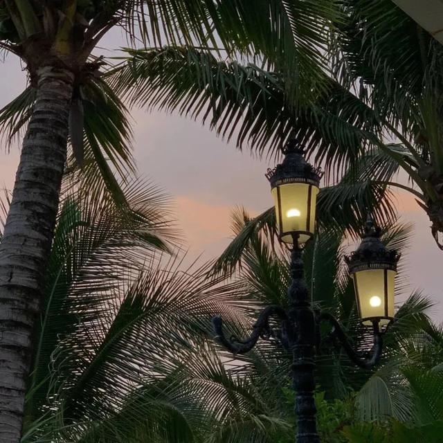 抖音最火的热门句子！