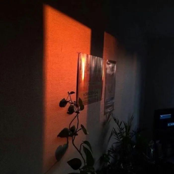 让你分分钟能怼赢人的句子！