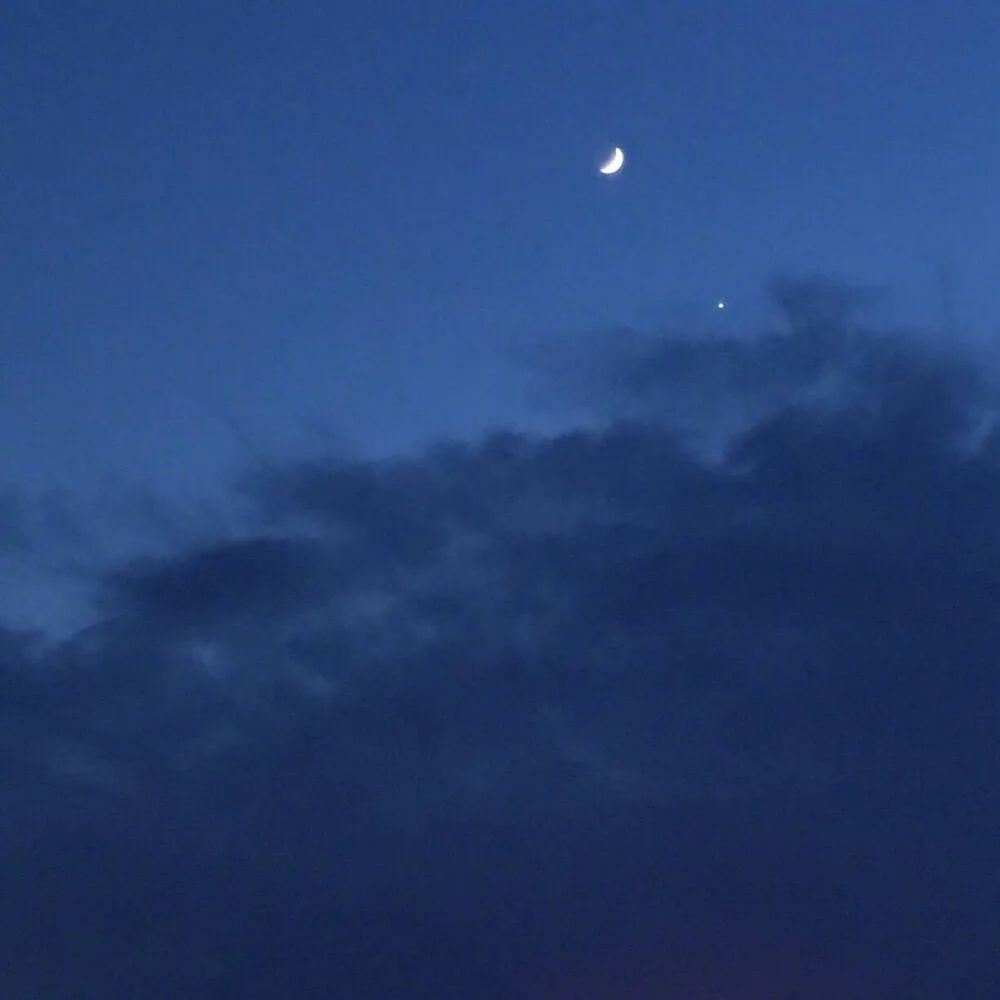 “句句是你 句句意难平”的文案