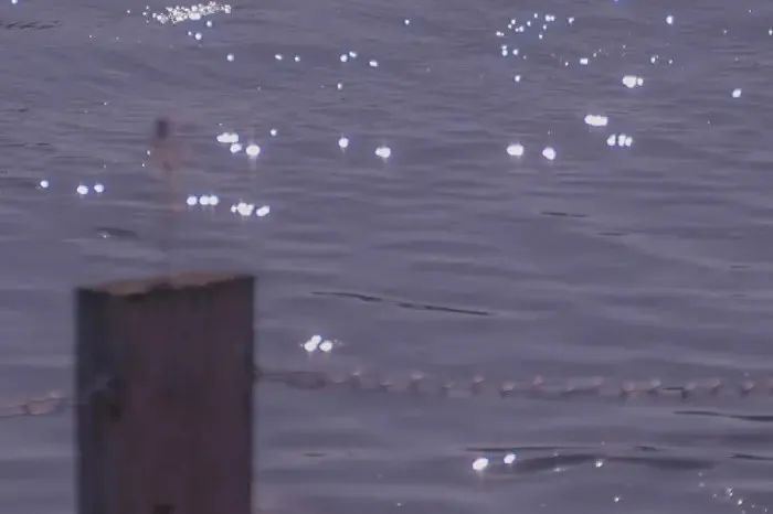 互删好友之后的最后一句！