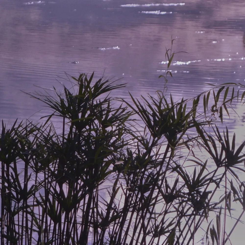 阴间祝福｜怼人必备的一些祝福语