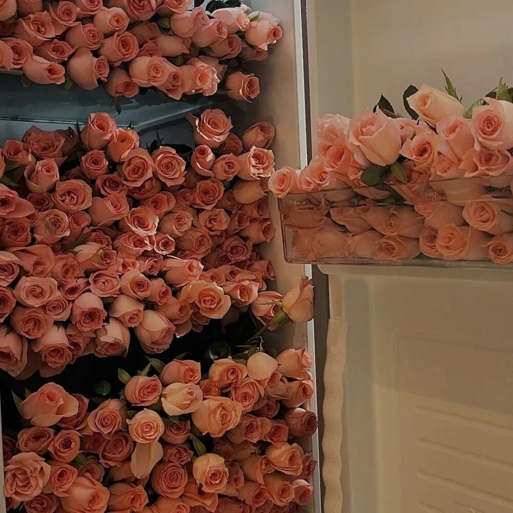 “让人笑不活的废话文案”