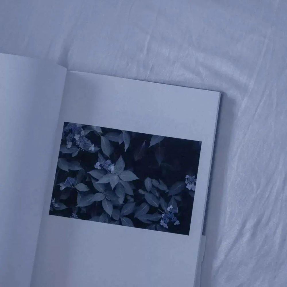 发出去就被赞到99 的沙雕朋友圈文案！