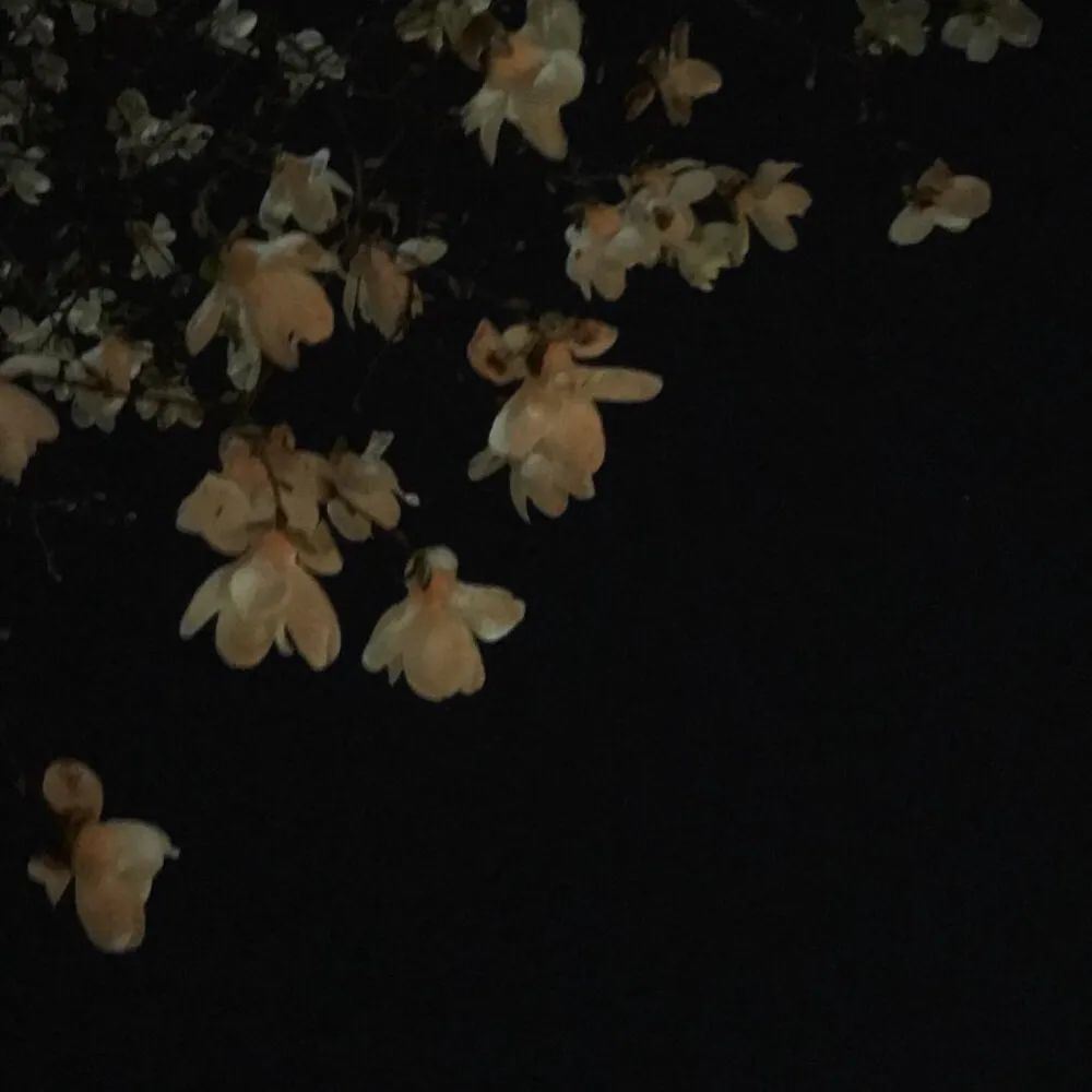 抖音好笑又上头的“发疯文学”文案！