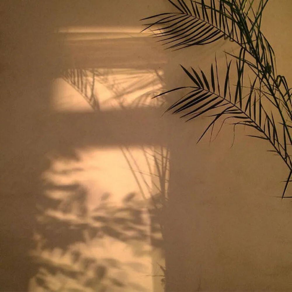 朋友圈发の精选日常文案