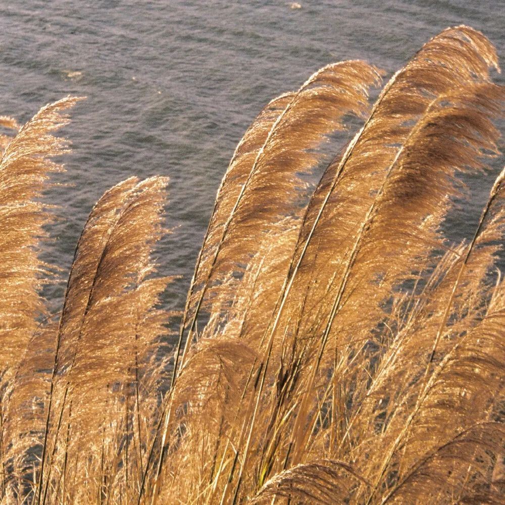 一些适合做手幅的文案