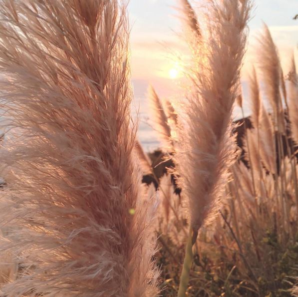 有生之年一定用得上的官宣文案！