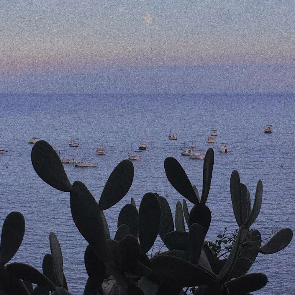 有生之年一定用得上的官宣文案！