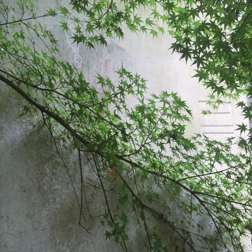 爱情文案｜给（他）她的专属文案