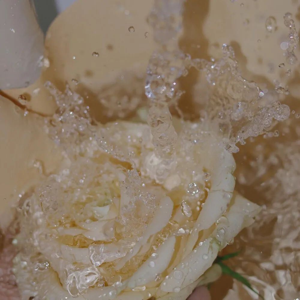 “一些无关爱情又很惊艳的高级文案”