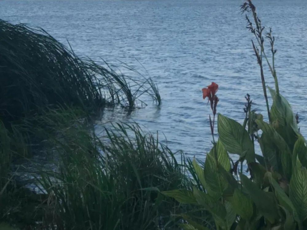 一发就火的文案，送给大家！