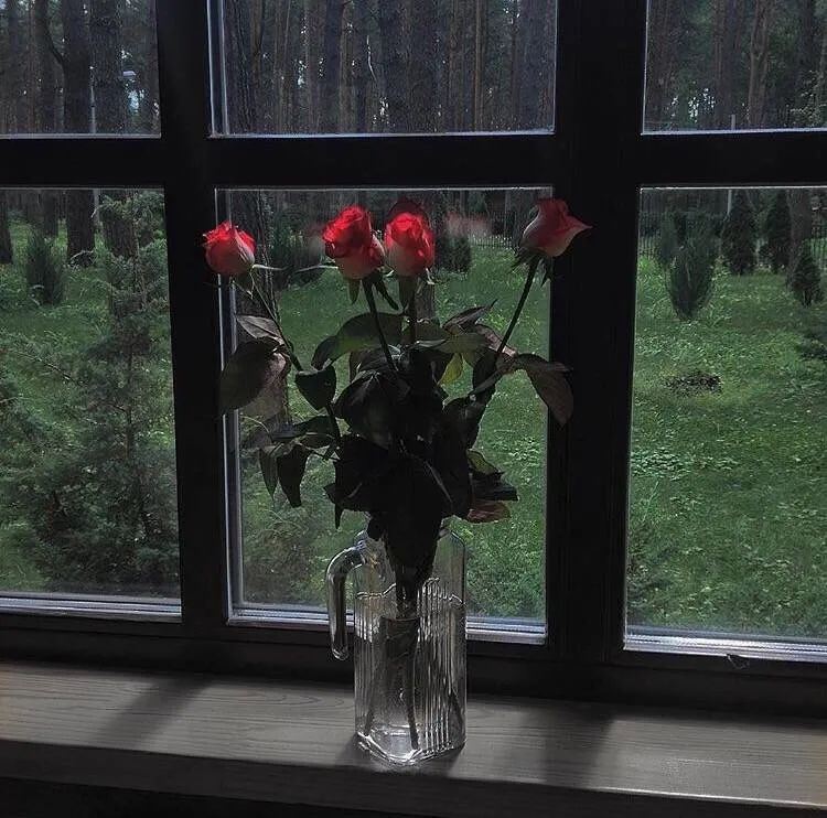 进来给你的cp一人一句官宣文案！