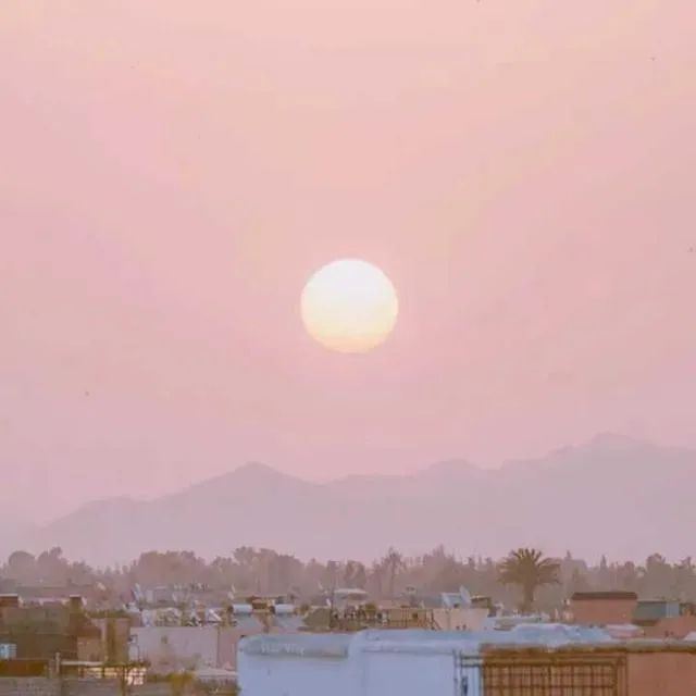 进来给你的cp一人一句官宣文案！