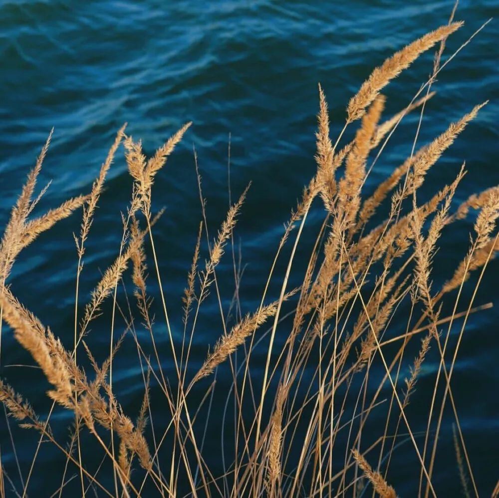 河 南 暴 雨 文 案