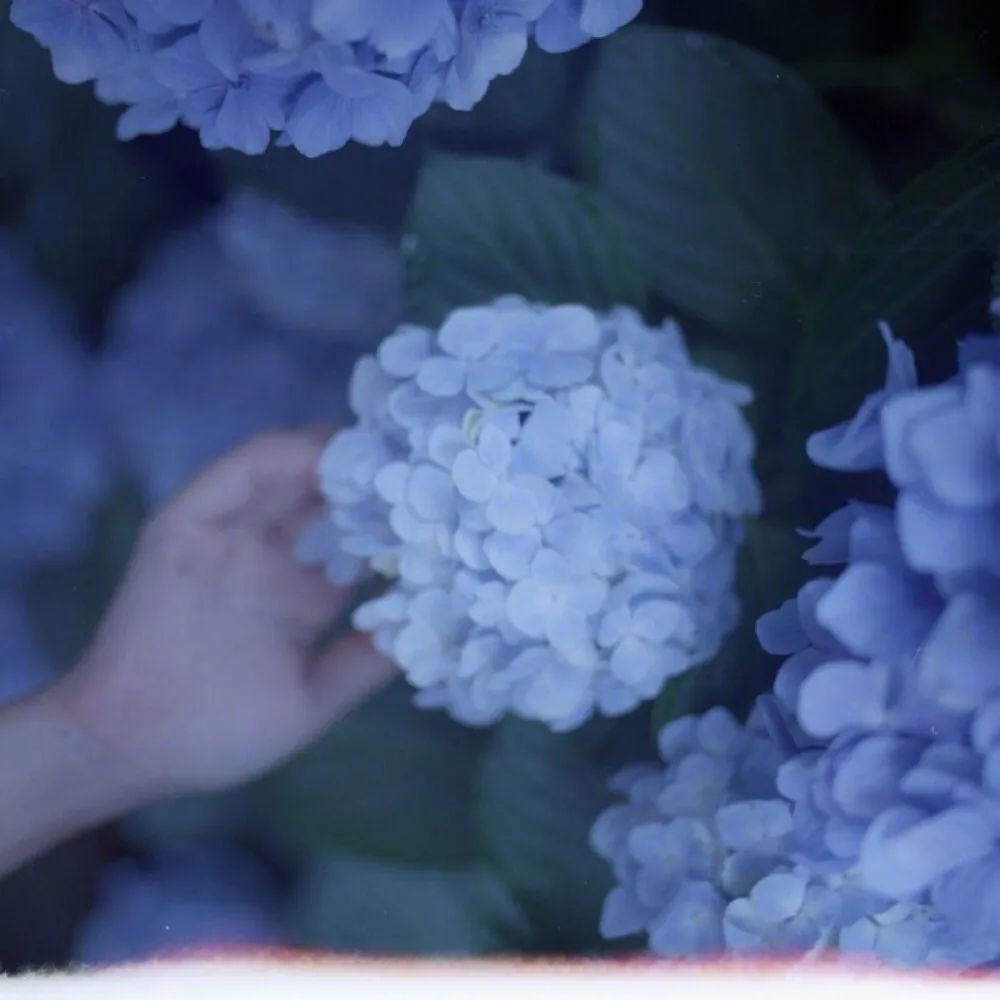 羡慕不来的朋友圈文案！