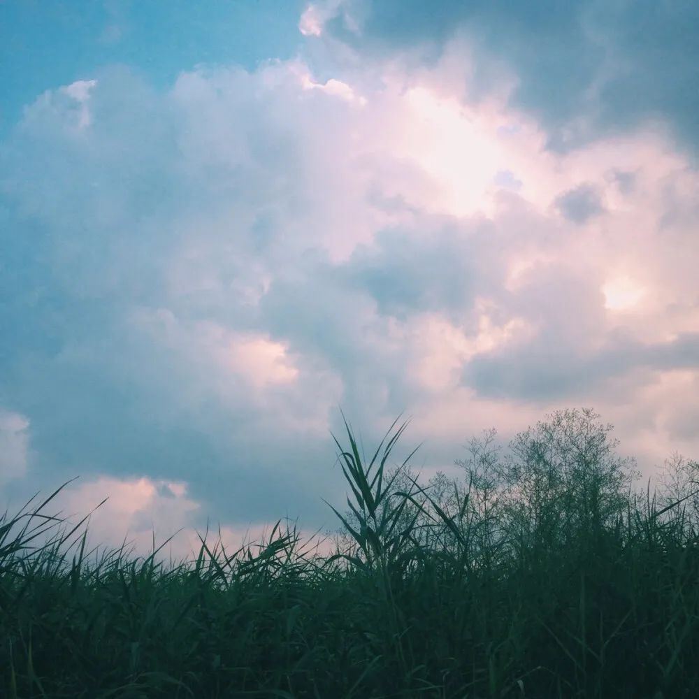 你不肯清醒 看再多文案都没用