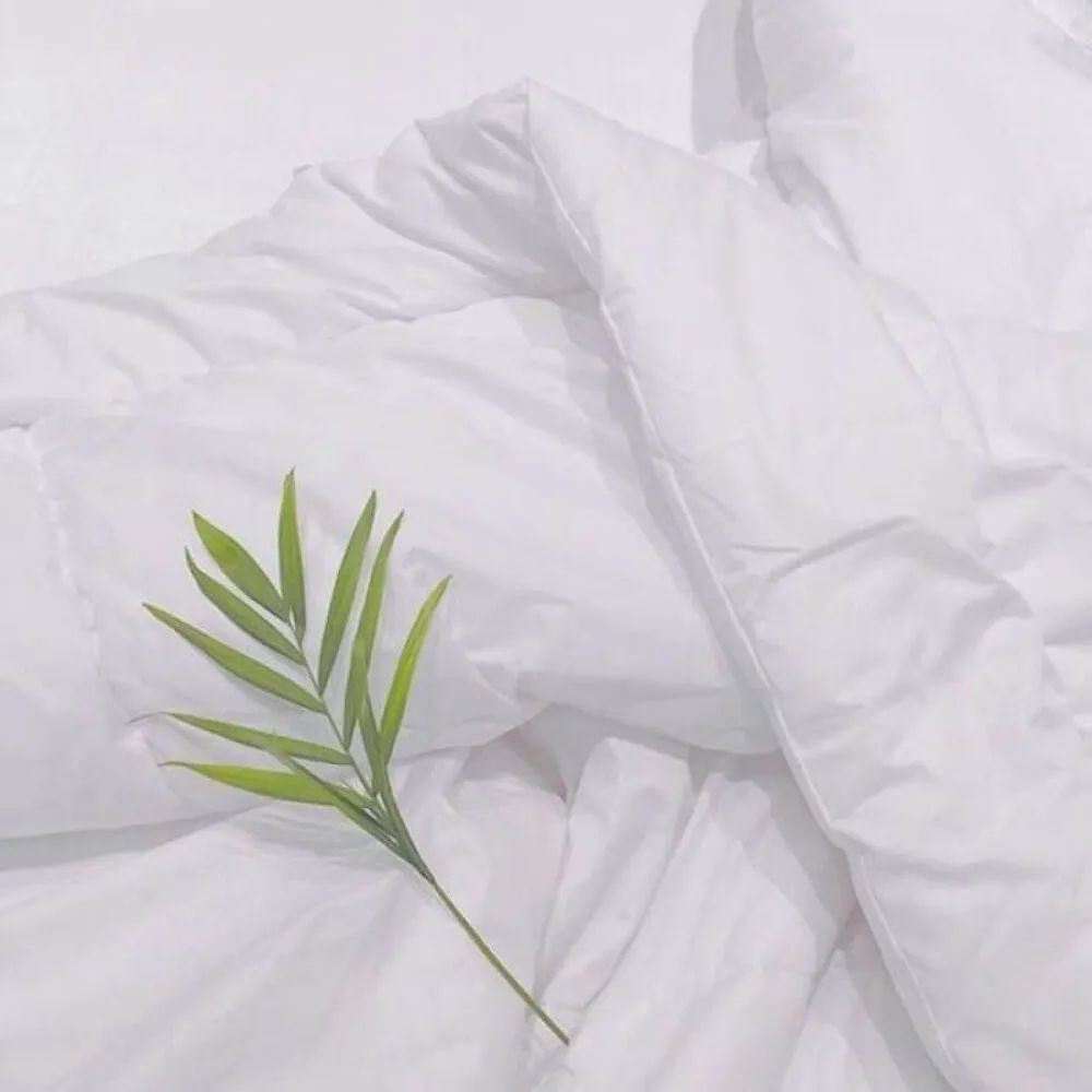 仙女也在偷偷收藏的丧系文案！