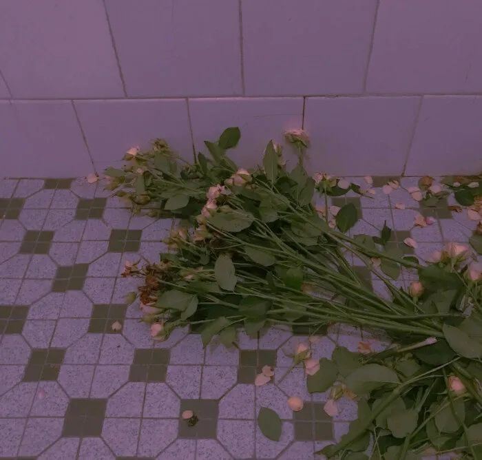 送你上热搜的温柔小文案~