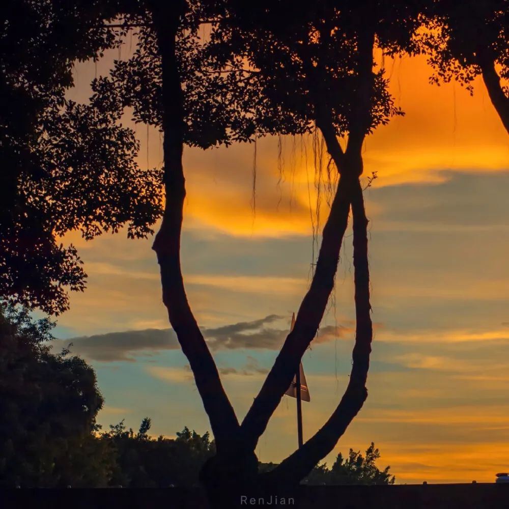 盘点一些令人惊艳的小说文案！