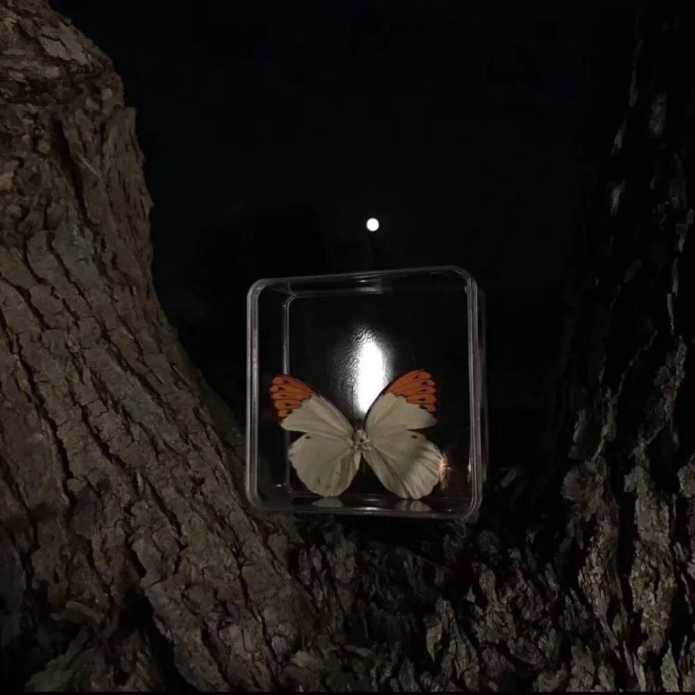 “发出来气死前男友的文案”