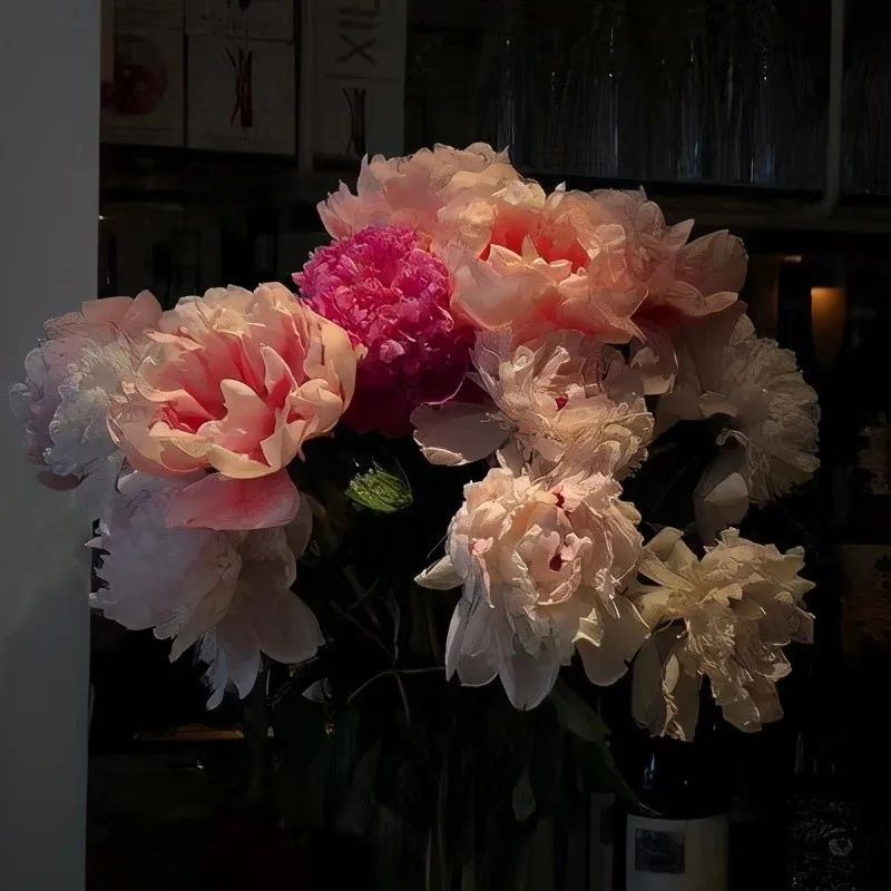 励志文案｜适合拯救自己的高级文案！