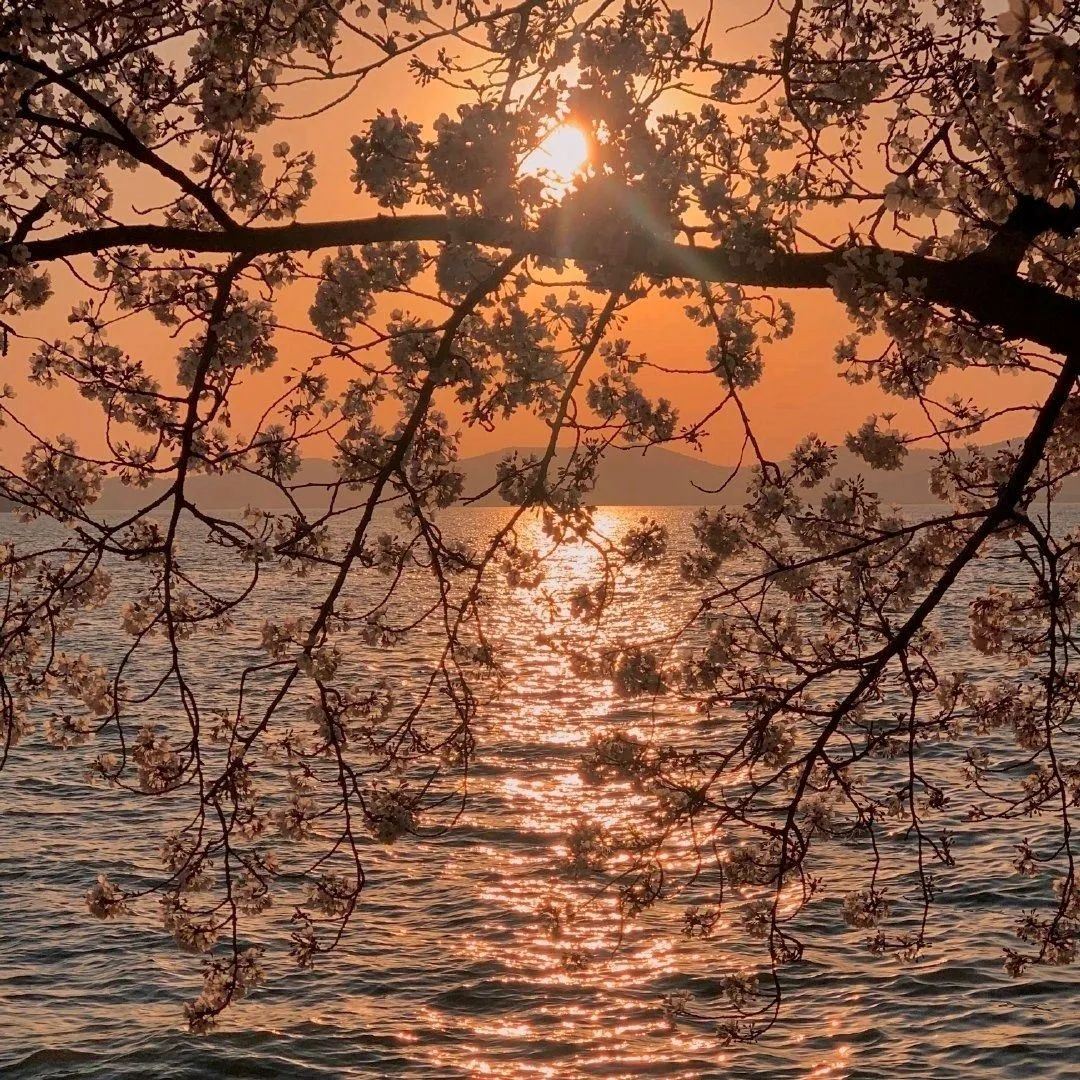 伤感｜读懂这些文案真的好难受啊！