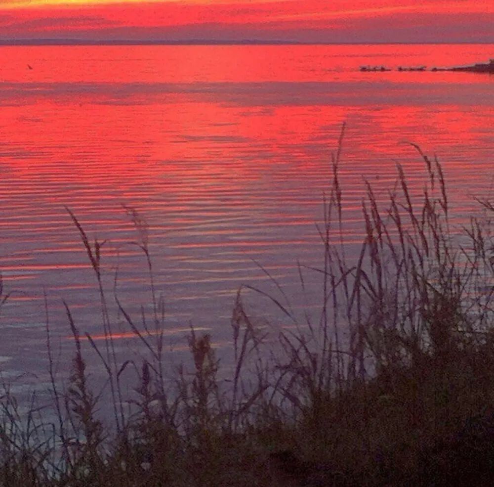 伤感｜读懂这些文案真的好难受啊！