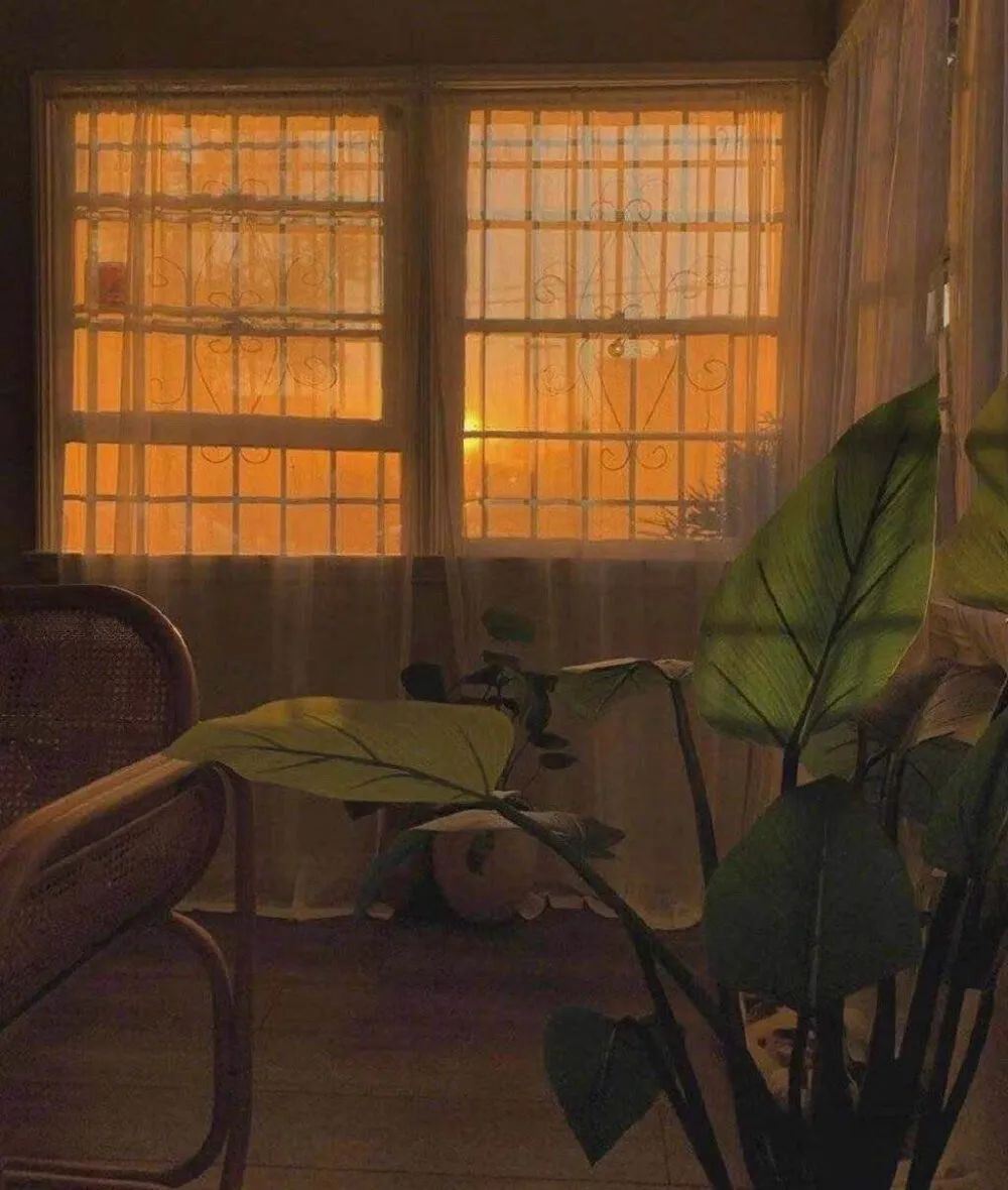 偷偷收藏起来一个人看的文案！