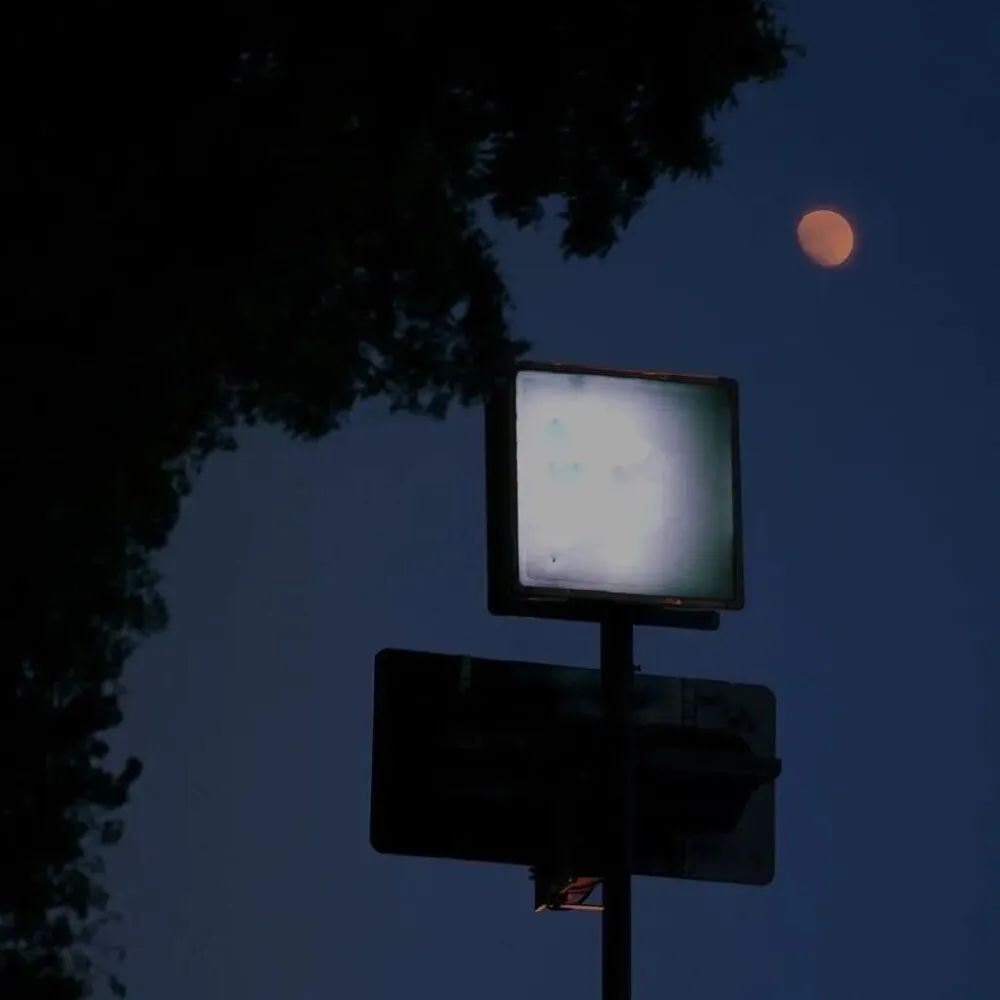 适合你现在发朋友圈文案的句子~