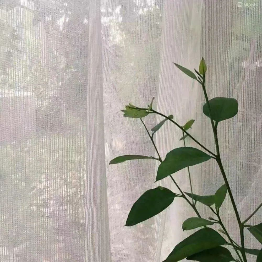 让人觉得很哇塞的文案！