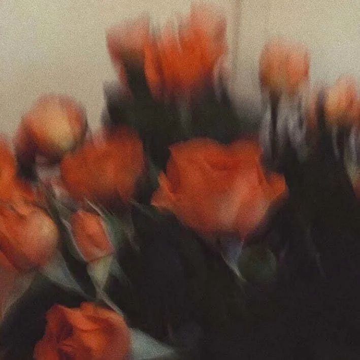 一些适合你所有心情的朋友圈文案~