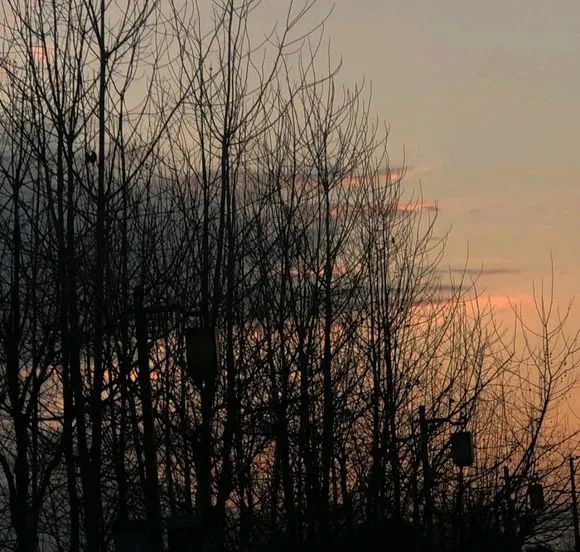 有故事的人发的高质量文案