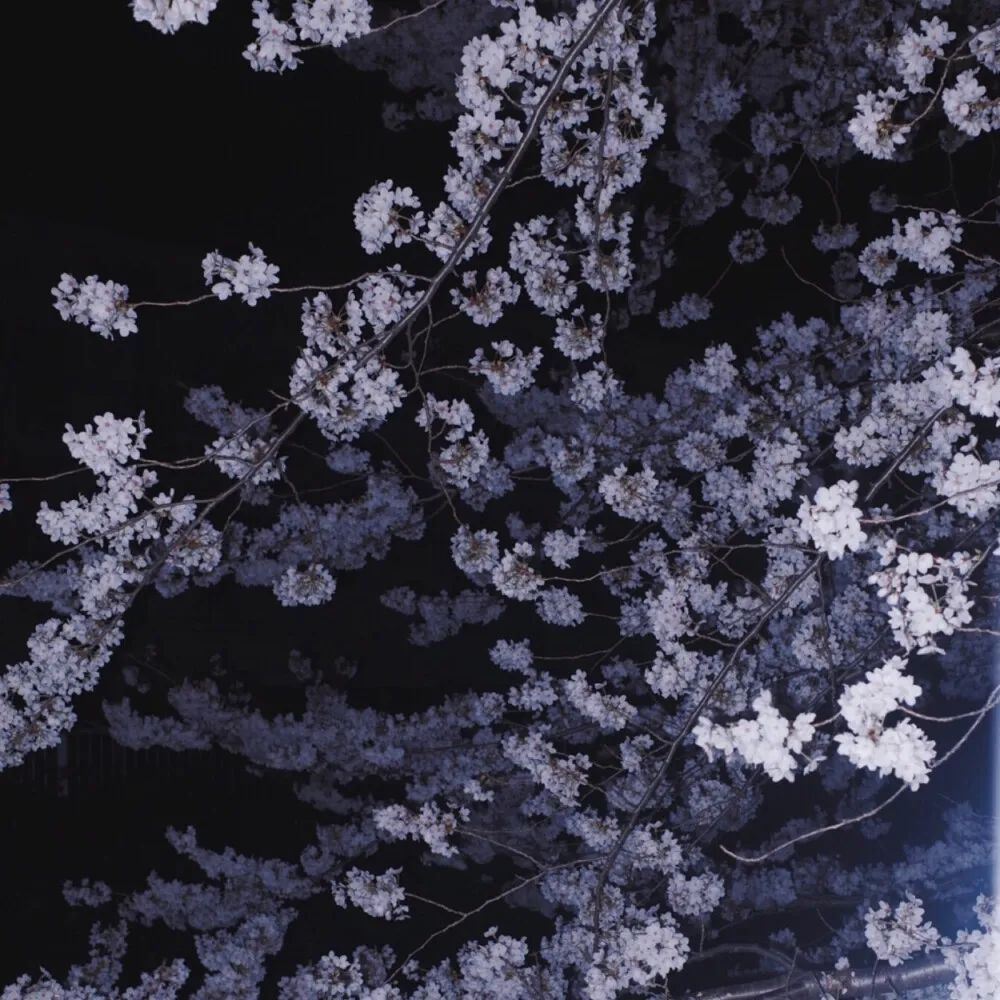 有故事的人发的高质量文案