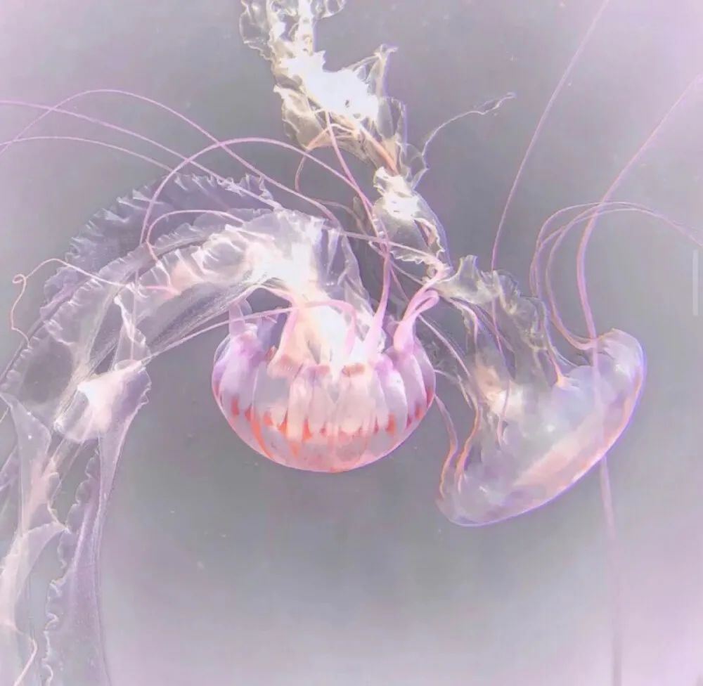 任何时候都可以发的短句子