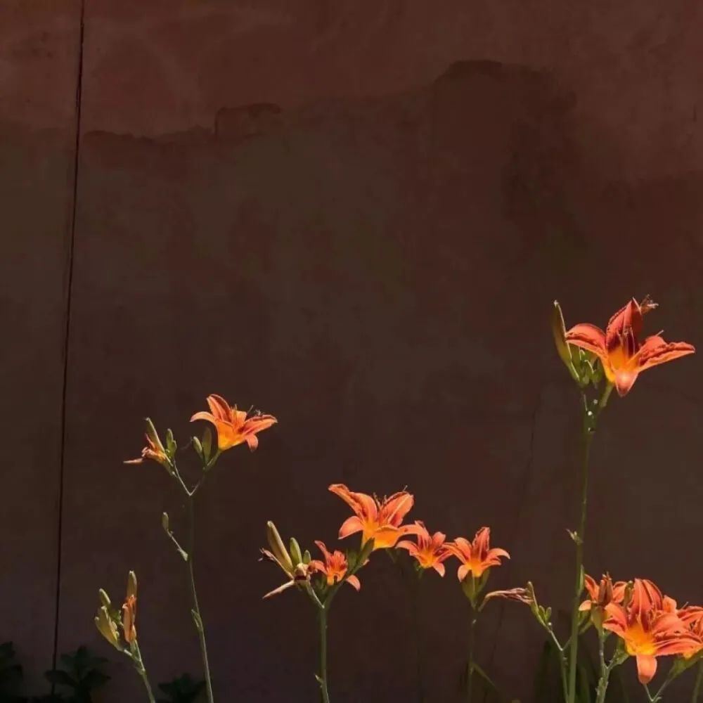 任何时候都可以发的短句子