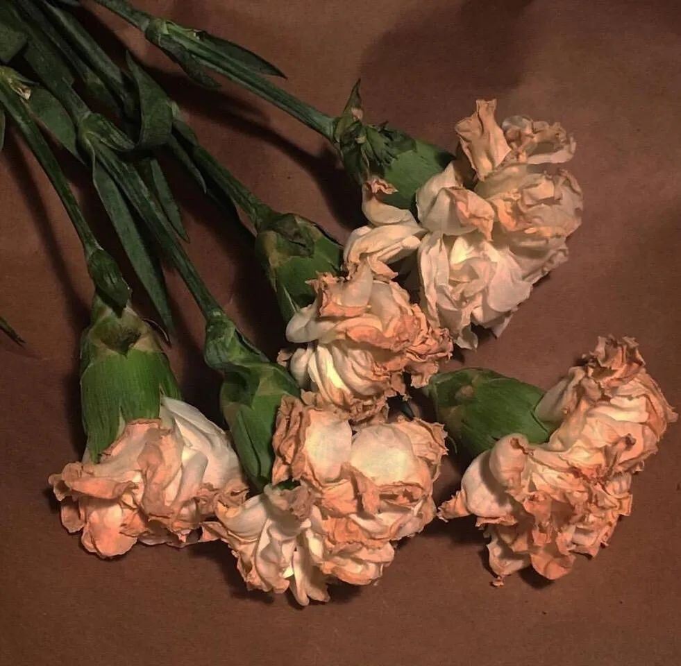 无风格文案短句爱了~