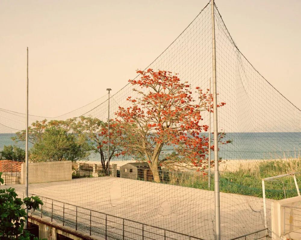 找了很久的朋友圈文案，总有一句适合你！