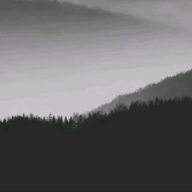 找了很久的朋友圈文案，总有一句适合你！