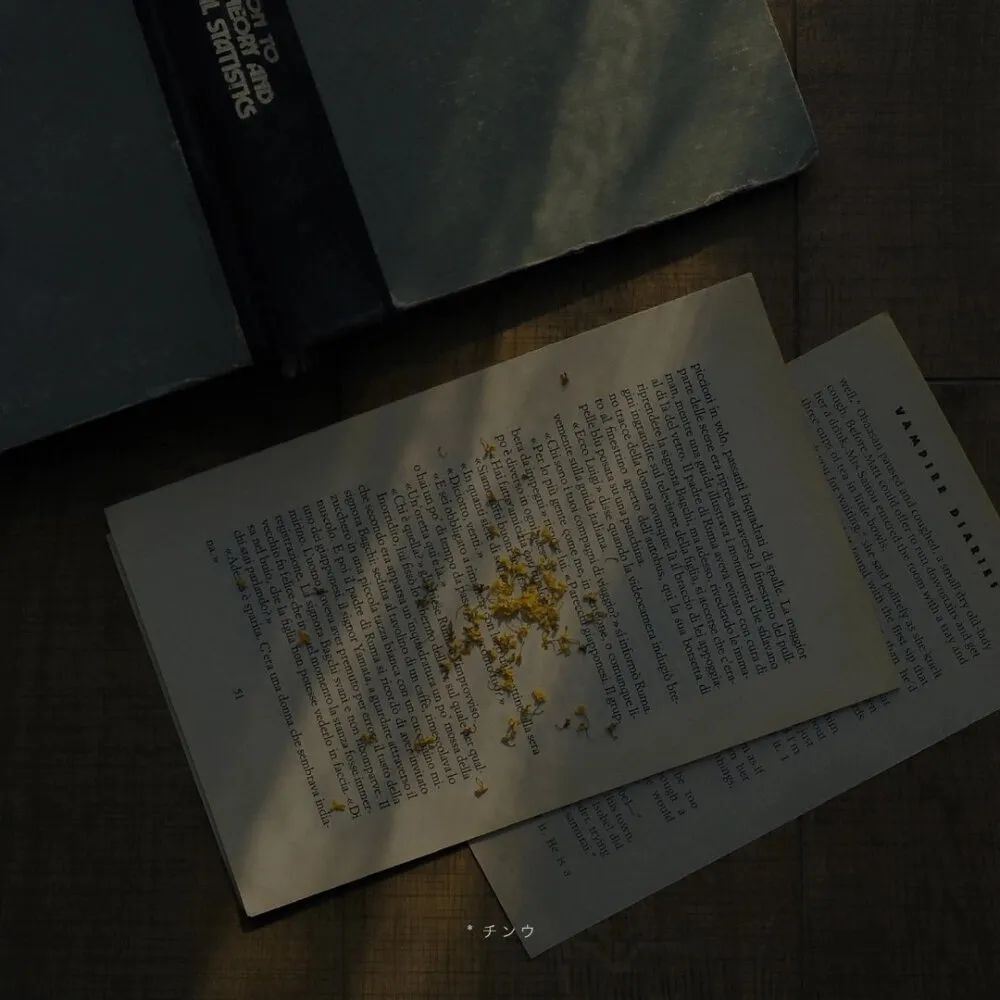 文案｜拉你上岸的救赎文案